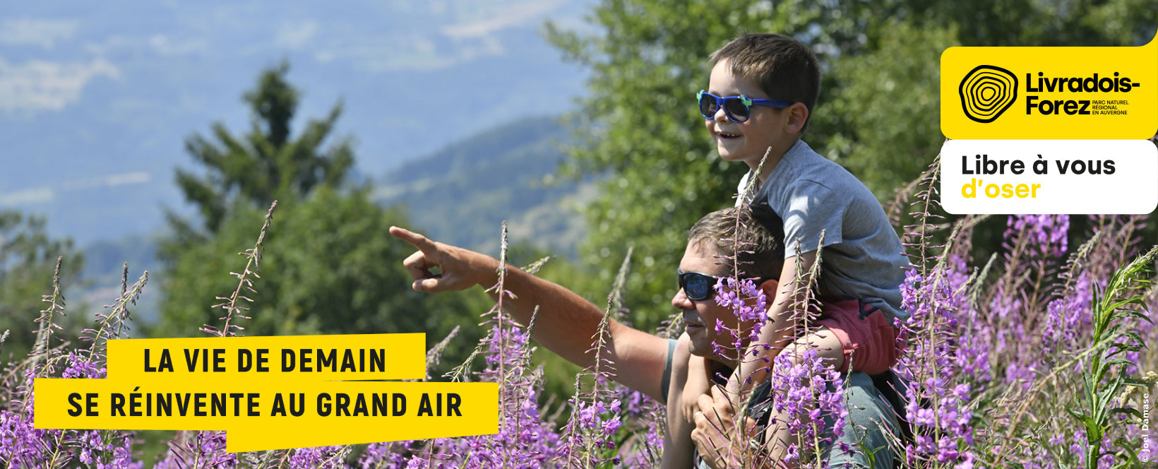 TB & Livradois-Forez : le territoire