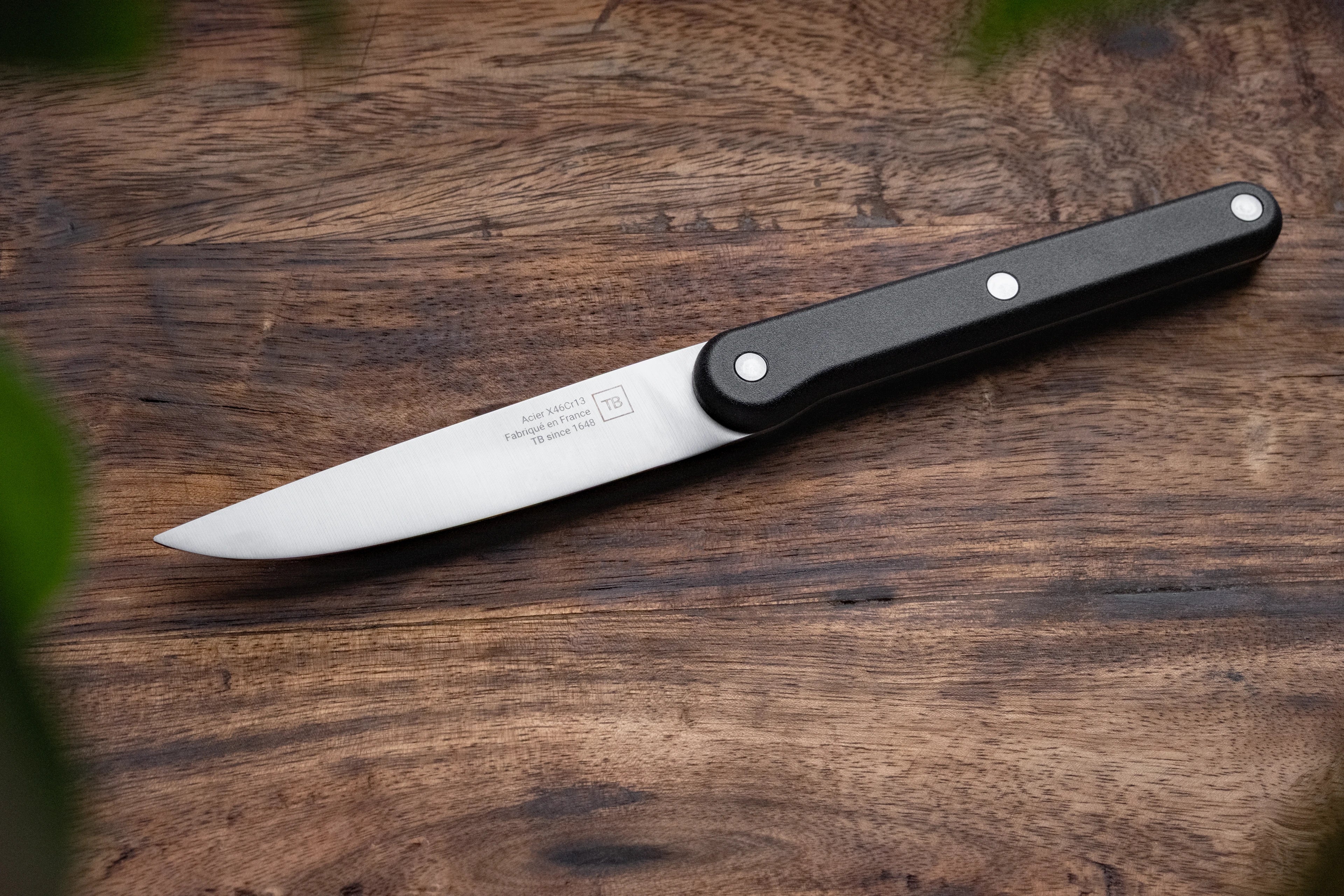 Victor - Set de 6 couteaux de table