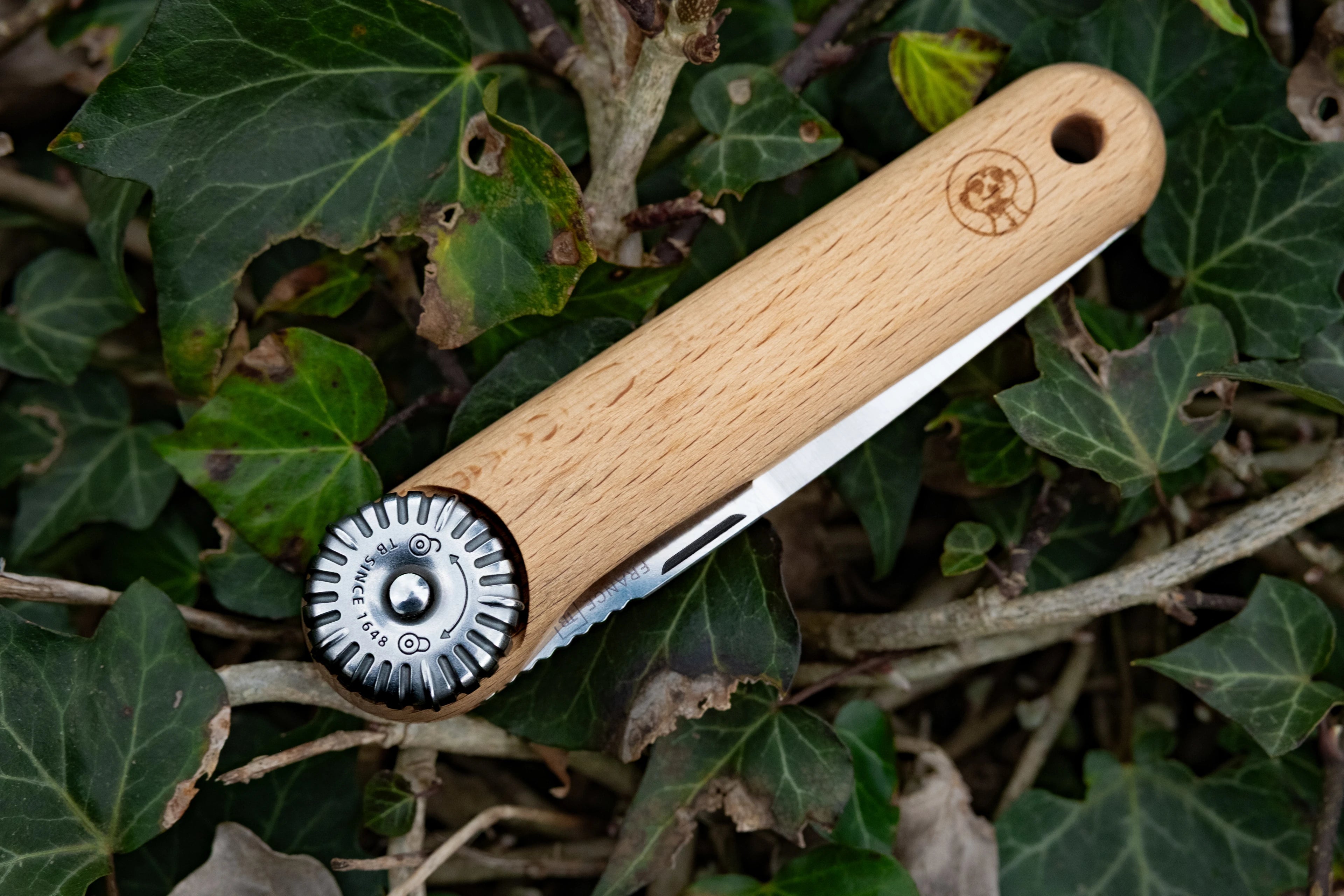 couteau suricate plié sur un tapis de lierre