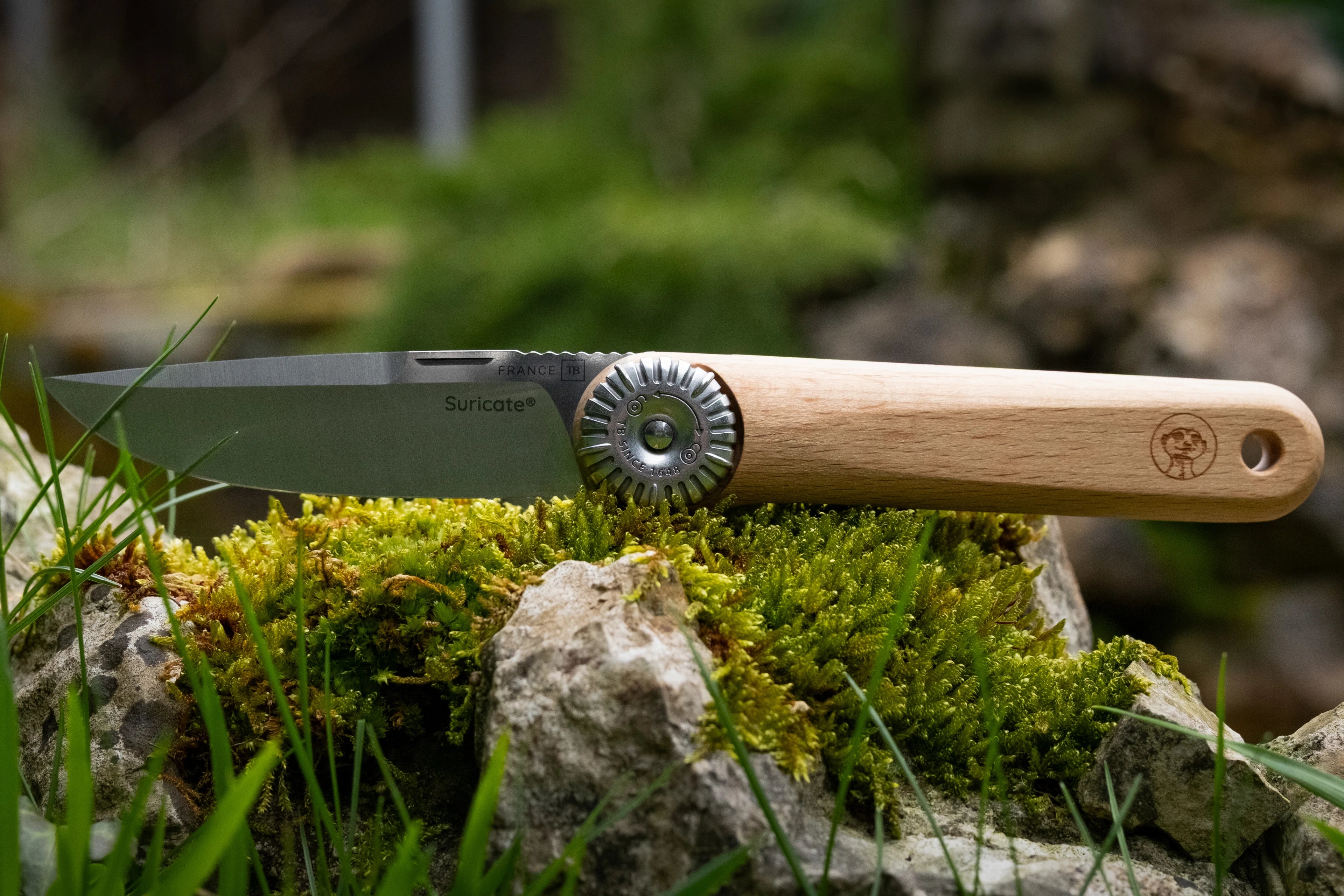 couteau suricate vu de profile sur un rocher avec de la mousse