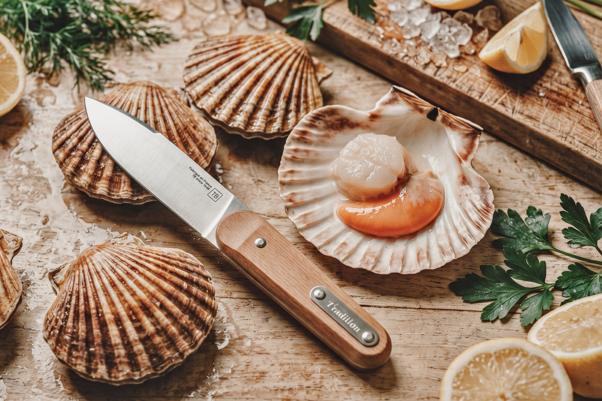 Couteau Coquille Saint-Jacques