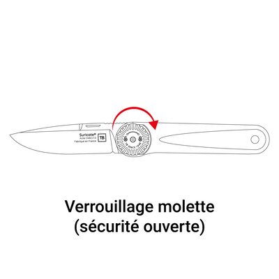 schema verrouillage lame suricate
